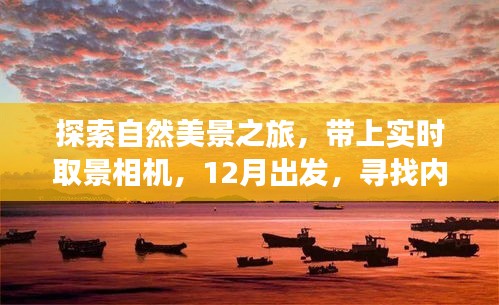 12月自然探索之旅，实时取景相机随行，寻找内心的宁静与平和