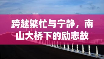 南山大桥下的励志故事，跨越繁忙与宁静，见证学习与变化的力量