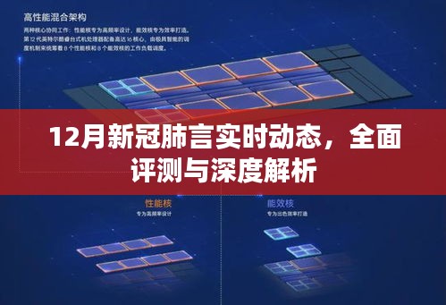 全面深度解析，12月新冠病毒肺炎实时动态与评测报告