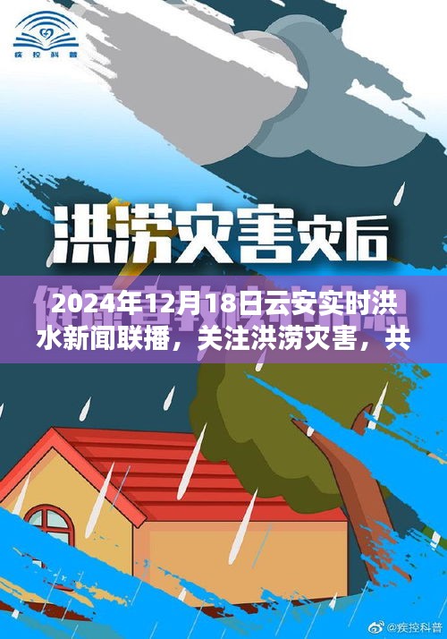 云安实时洪水新闻联播，关注洪涝灾害，共筑安全防线（2024年12月18日）