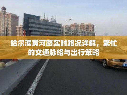 哈尔滨黄河路实时路况详解，交通脉络、出行策略全解析