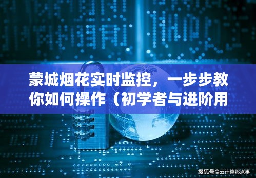 蒙城烟花实时监控教程，初学者与进阶用户操作指南