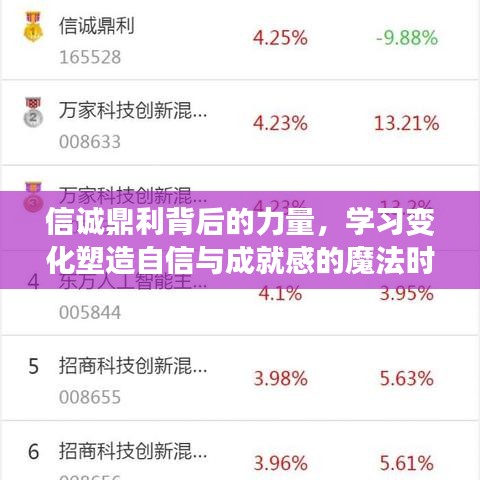 信诚鼎利背后的力量，塑造自信与成就感的魔法时刻