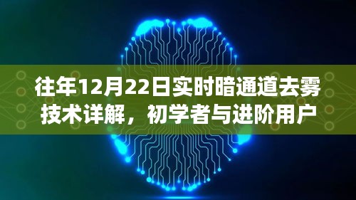 实时暗通道去雾技术详解与操作指南，面向初学者与进阶用户的指南