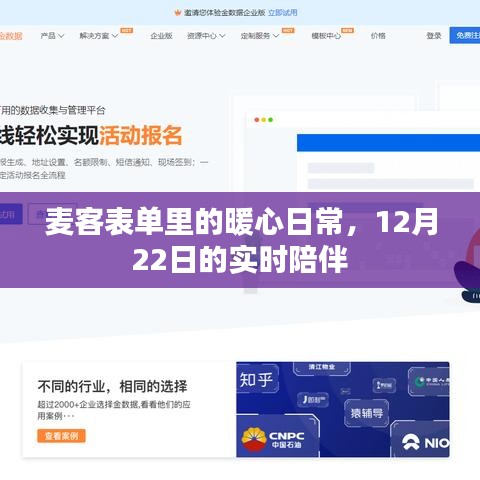 麦客表单暖心日常，12月22日实时陪伴的时光