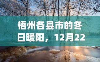 梧州各县市的冬日暖阳，实时天气的温馨故事（12月22日）