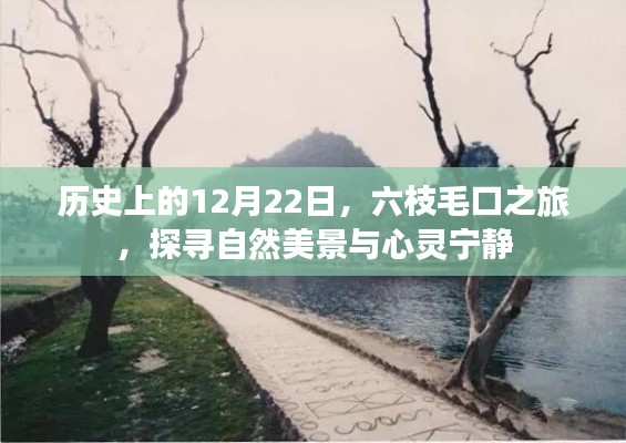 探寻自然美景与心灵宁静，六枝毛口之旅的12月22日历史之旅