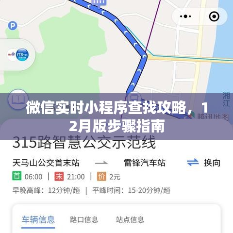 微信实时小程序查找攻略，12月版步骤指南