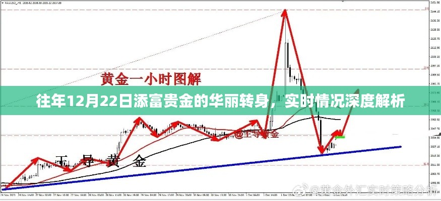 往年12月22日添富贵金的华丽转身揭秘，实时情况深度解析