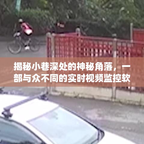 小巷深处的秘密与实时视频监控软件的诞生之旅