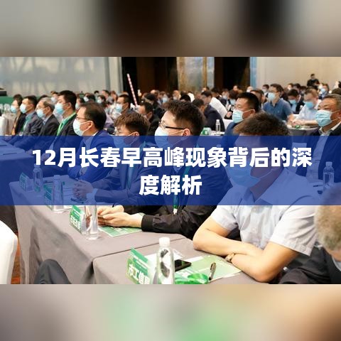 12月长春早高峰现象深度解析