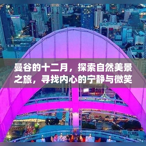 曼谷十二月，自然之旅与心灵宁静的探寻