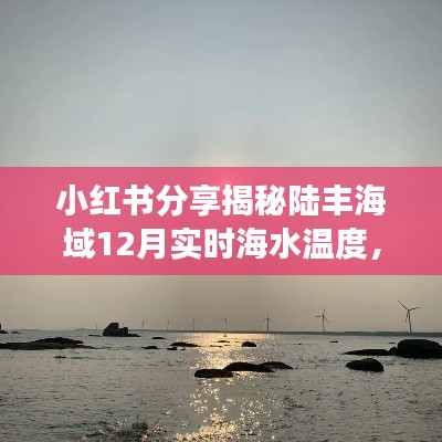 小红书分享，陆丰海域12月海水温度揭秘，畅游温暖海域攻略！