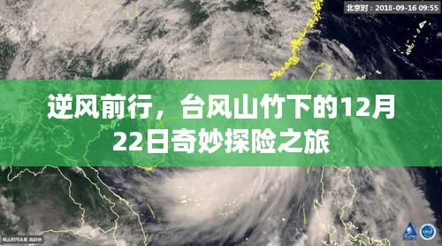 台风山竹下的逆风探险之旅，12月22日的奇妙冒险