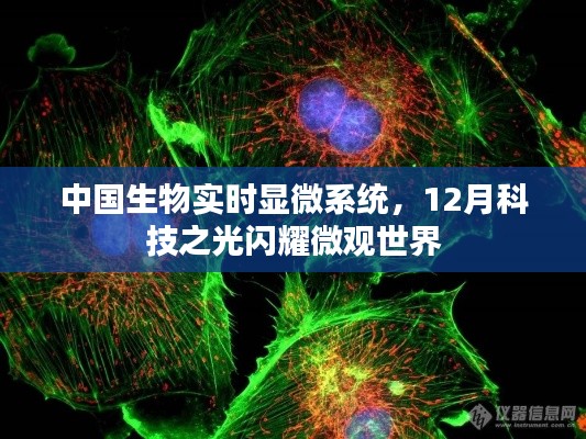 中国生物实时显微系统，闪耀微观世界的十二月科技之光