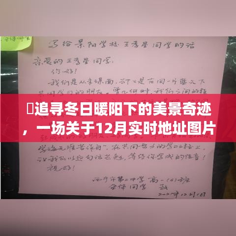 冬日暖阳下的美景奇迹，心灵之旅的实时地址图片分享