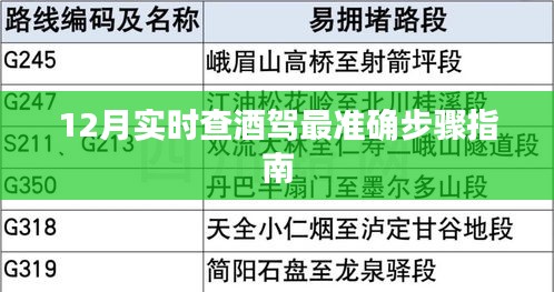 12月酒驾查处最新准确步骤指南