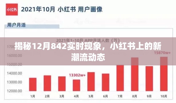 揭秘12月新现象，小红书上的实时潮流动态解析