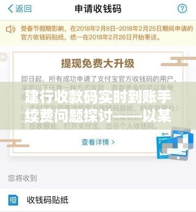 建行收款码实时到账手续费深度解析，观点中心探讨