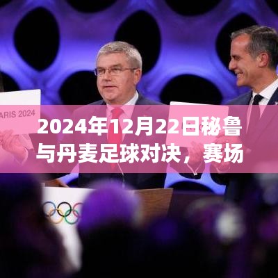 揭秘！2024年秘鲁与丹麦足球对决赛场内外的精彩瞬间与深度解析