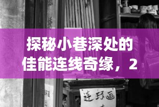 探秘小巷深处的佳能连线奇缘，佳能实时拍摄连接线的独特故事（2024年12月22日）