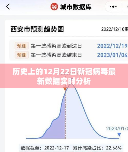 2024年12月24日