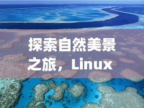 Linux rsync带你踏遍自然美景，探寻实时同步与内心宁静的奇迹之旅