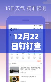 12月22日钉钉实时停机操作指南，初学者与进阶用户适用