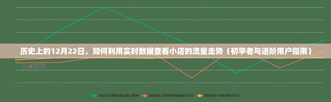 12月22日实时数据监控，小店流量走势的查看指南（初学者与进阶用户必读）