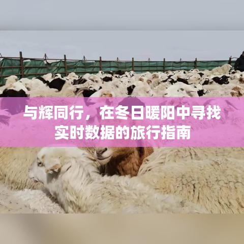 冬日暖阳下的数据之旅，与辉同行实时导航指南