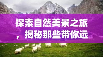 揭秘自然美景探索之旅，实时抓拍相机的神奇功能与远离尘嚣的魅力