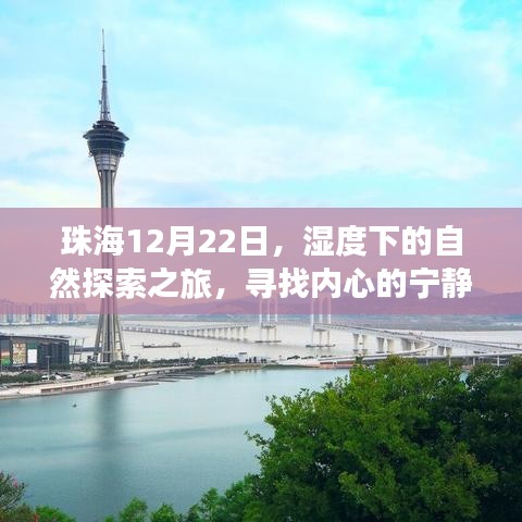 珠海12月22日，湿度中的心灵探索之旅，追寻宁静与平和