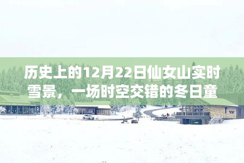 时空交错的冬日童话，仙女山历史雪景纪实——12月22日实时报道