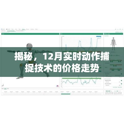 揭秘，12月实时动作捕捉技术价格走势揭秘