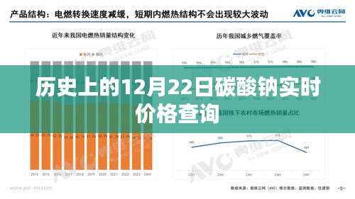 历史上的碳酸钠实时价格查询，聚焦十二月二十二日市场动态