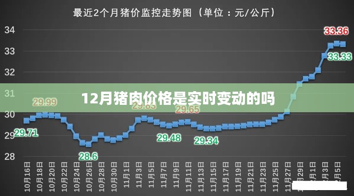 猪肉价格实时变动情况分析