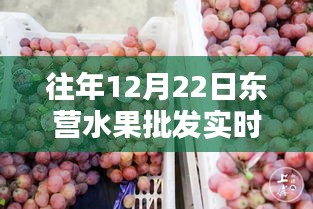 东营水果批发市场最新实时价格表（往年12月22日）