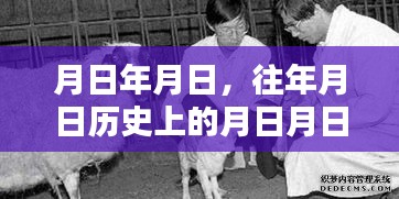 历史月日与实时动态概览