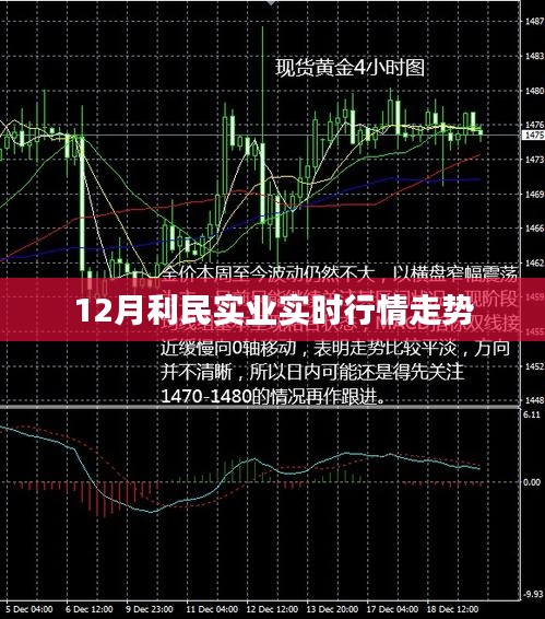 12月利民实业行情走势分析