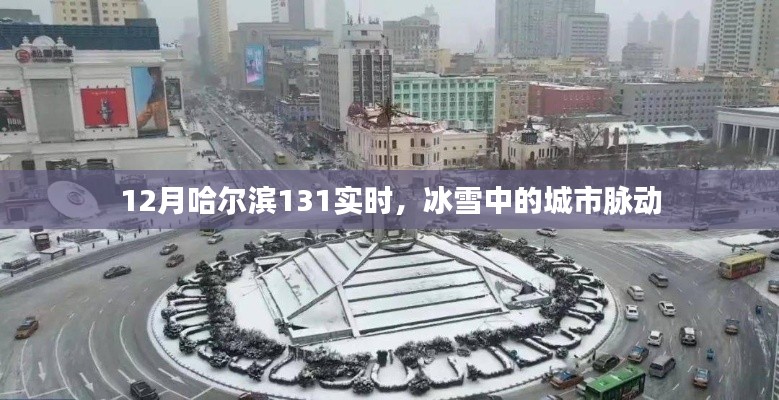 哈尔滨冰雪节12月实时脉搏，城市脉动与冰雪奇缘