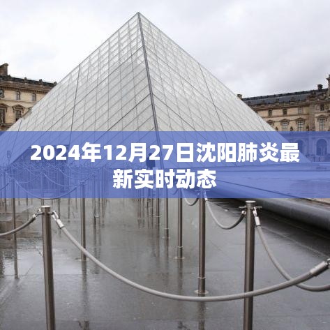 沈阳肺炎最新实时动态消息（2024年12月27日）