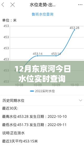 东京河最新实时水位查询报告