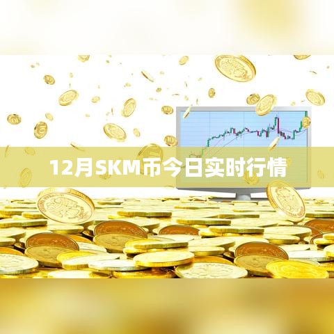 SKM币最新实时行情（12月版）