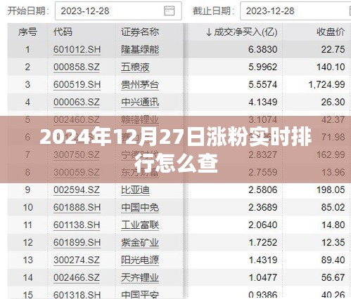 2024年涨粉实时排行查询指南