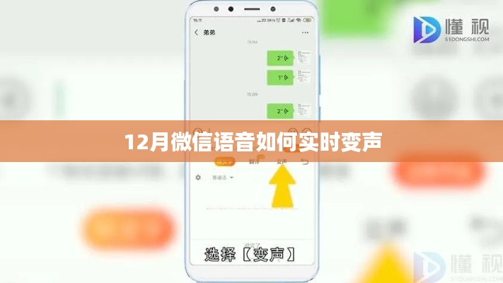 微信语音实时变声技巧揭秘，12月新功能