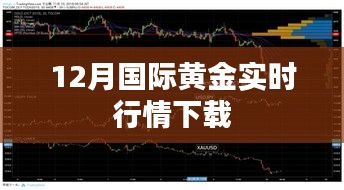 国际黄金行情实时更新下载服务