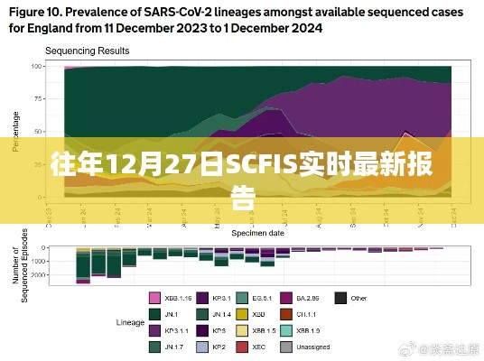 SCFIS实时最新报告发布日期揭晓