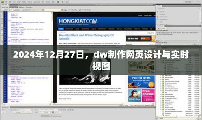 DW制作网页设计与实时视图功能介绍