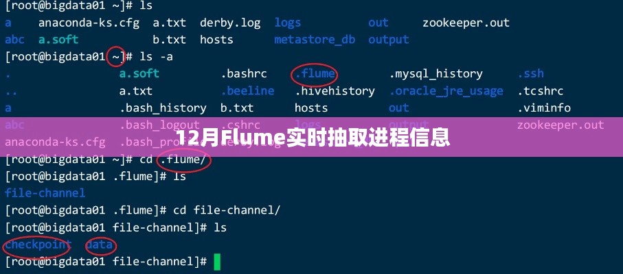 Flume实时抽取进程监控利器