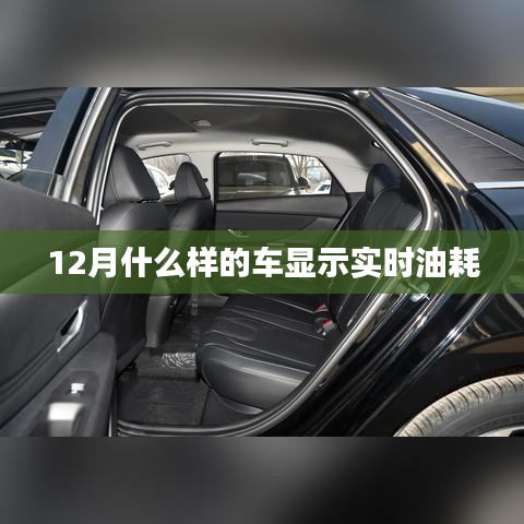 汽车实时油耗显示指南，如何查看车辆实时油耗